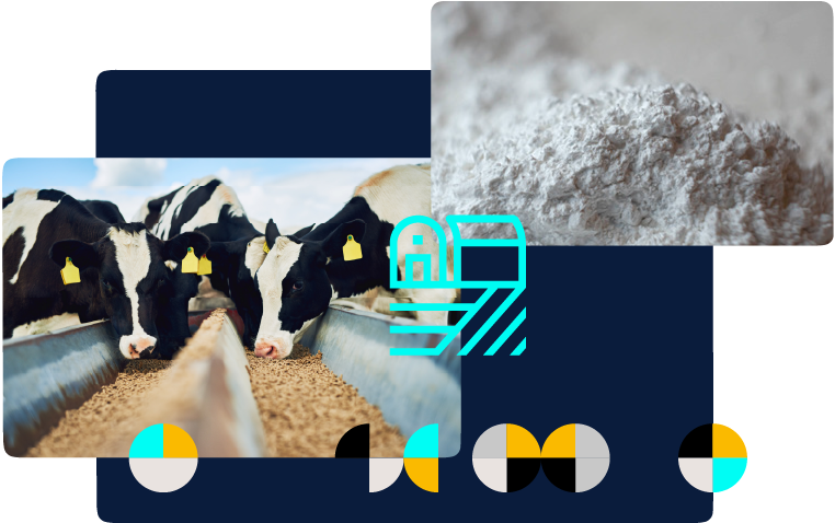 Natürliche Mineralstoffe für die gesundheitsbezogene
Versorgung von Tieren, hier Fleckvieh an einem Futtertrog